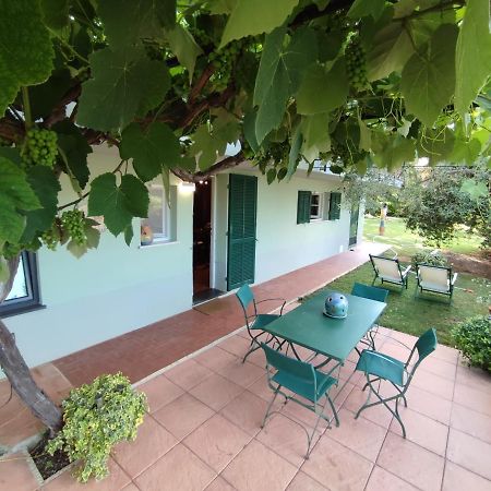 Independent Apartment With A Fabulous Patio - Casa Penny Cisano sul Neva Exteriér fotografie